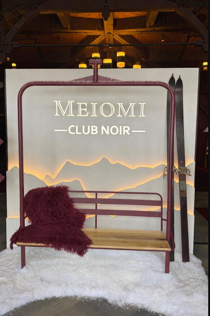 Ski Lift Chair - 3 Seater Stoke & Embr Mini Stoves